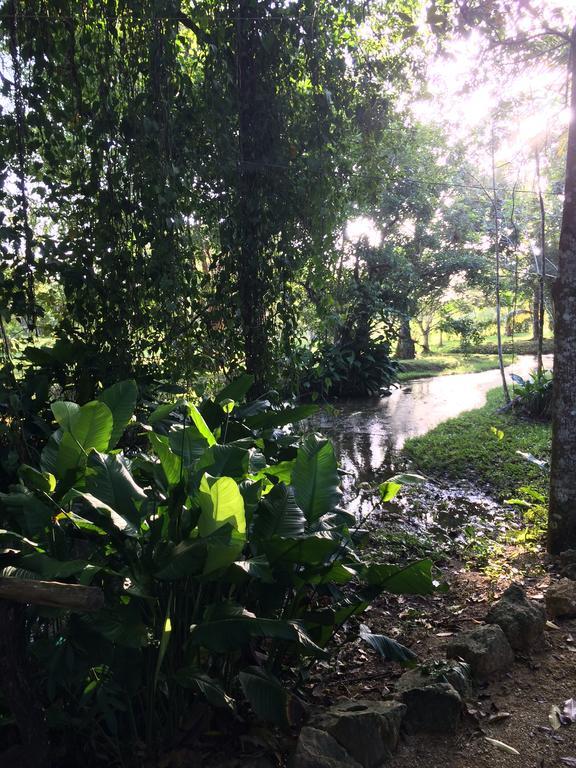 Finca Vallescondido El Caobano Dış mekan fotoğraf