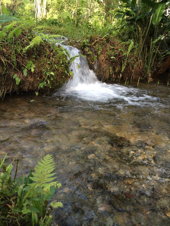 Finca Vallescondido El Caobano Dış mekan fotoğraf